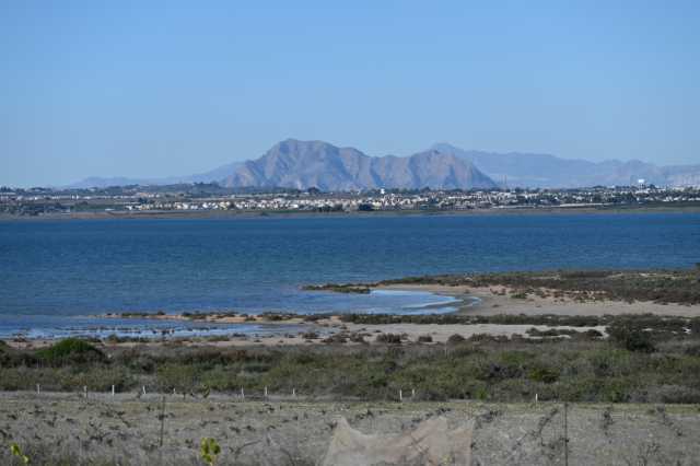 DSC_7732.JPG
