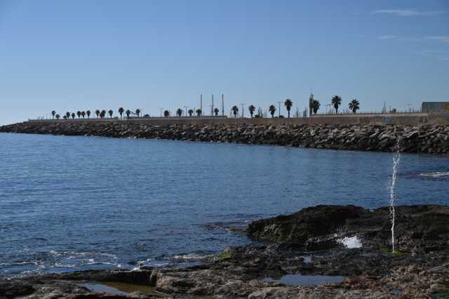 DSC_7836.JPG