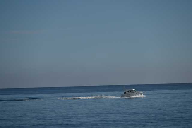 DSC_7870.JPG