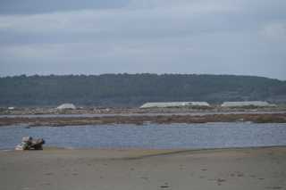 DSC_8199.JPG