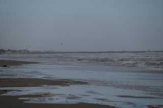 DSC_8200.JPG