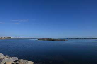 DSC_8290.JPG