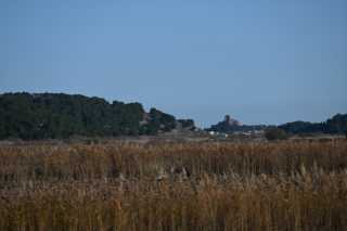 DSC_8301.JPG