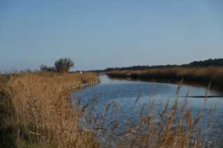 DSC_8336.JPG