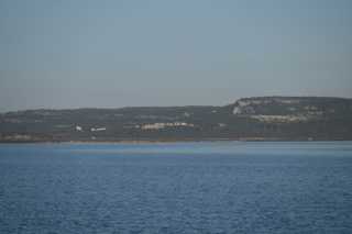 DSC_8339.JPG