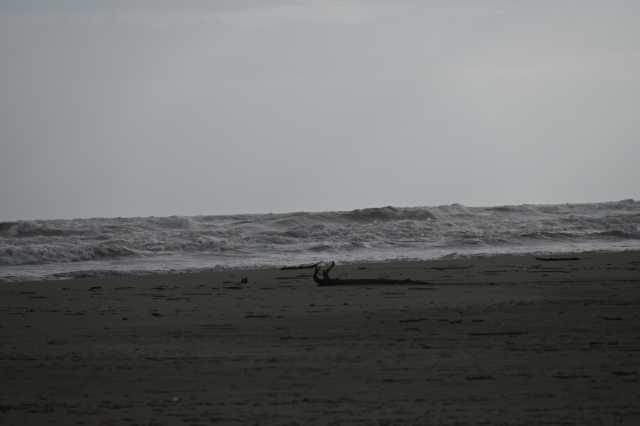 DSC_8190.JPG