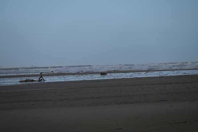 DSC_8196.JPG