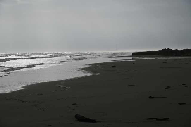 DSC_8198.JPG