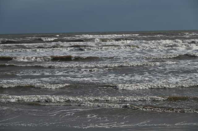 DSC_8213.JPG