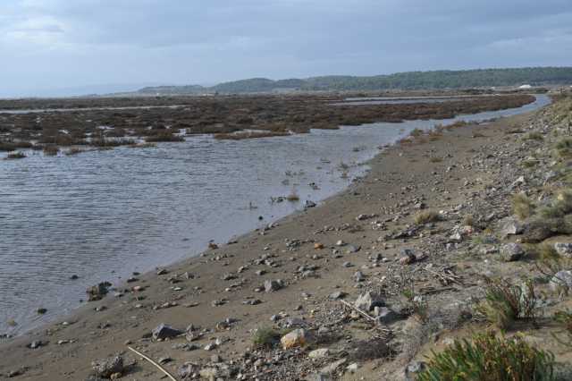 DSC_8237.JPG