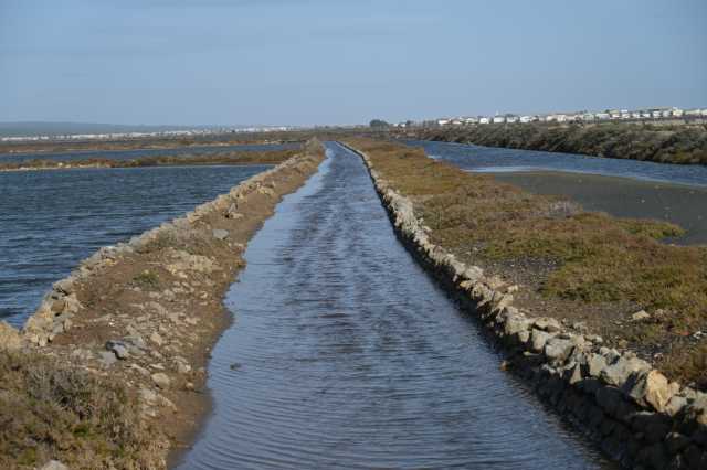 DSC_8253.JPG