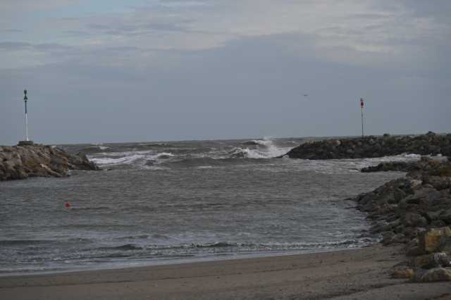 DSC_8274.JPG