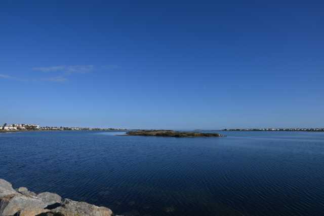 DSC_8290.JPG