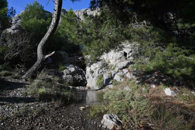 DSC_8294.JPG