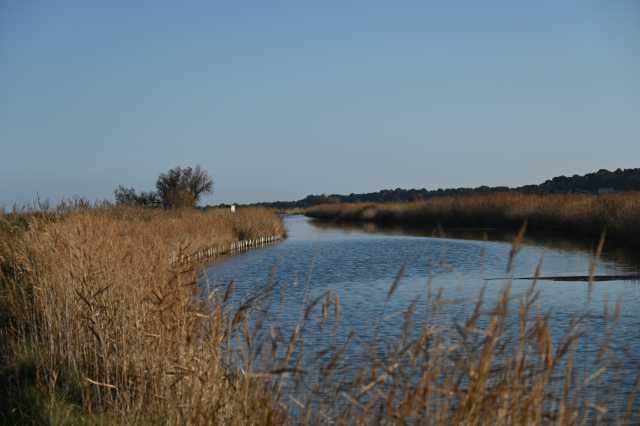 DSC_8336.JPG