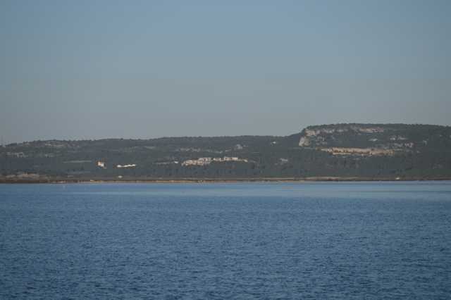 DSC_8339.JPG