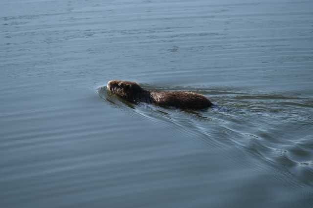 DSC_8340.JPG