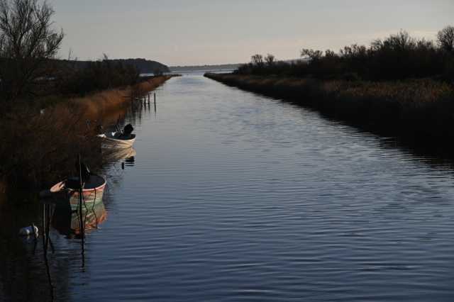 DSC_8357.JPG