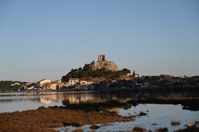 DSC_8361.JPG