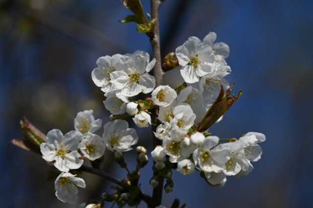 DSC_8942.JPG