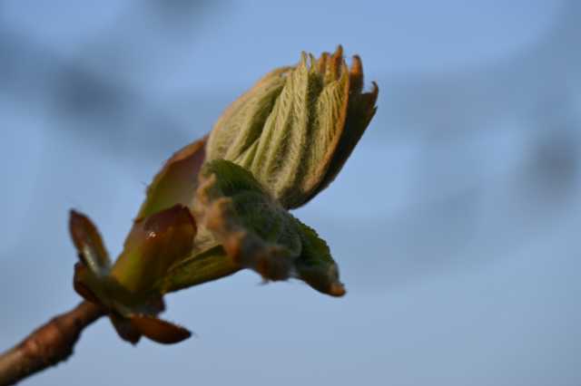 DSC_8956.JPG