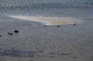 DSC_8960.JPG