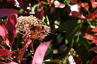 DSC_8985.JPG