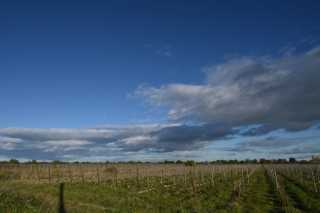 DSC_9024.JPG