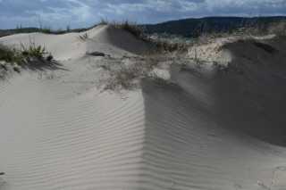 DSC_9069.JPG