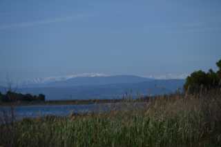 DSC_9129.JPG