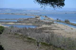 DSC_9164.JPG