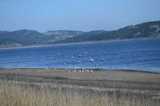 DSC_9177.JPG