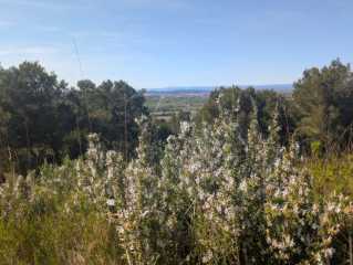 PXL_20260404_140909448.jpg