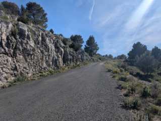 PXL_20260404_140917133.jpg