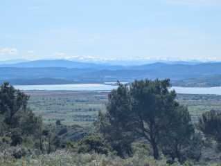 PXL_20260404_141436549.jpg