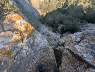 PXL_20260404_145446060.jpg