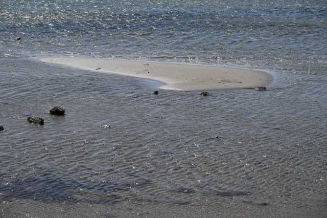 DSC_8960.JPG