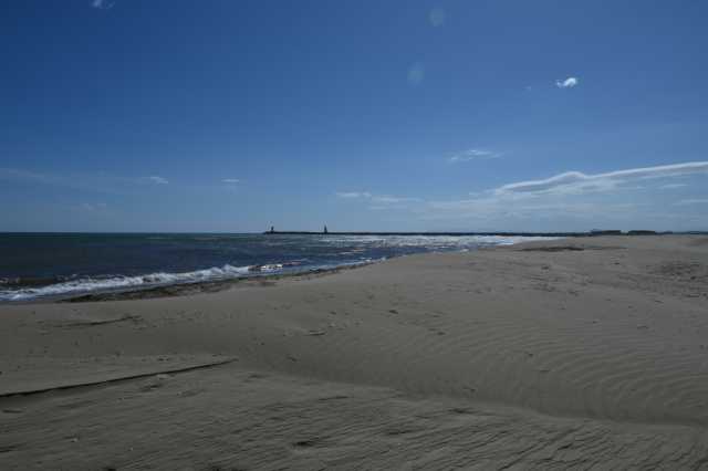 DSC_8965.JPG