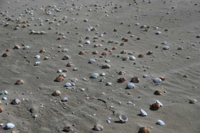 DSC_8973.JPG