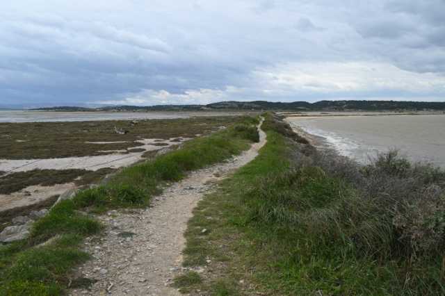 DSC_9072.JPG