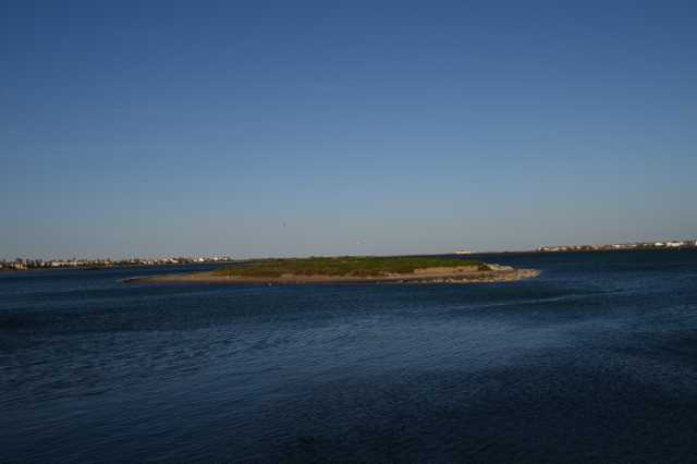 DSC_9098.JPG