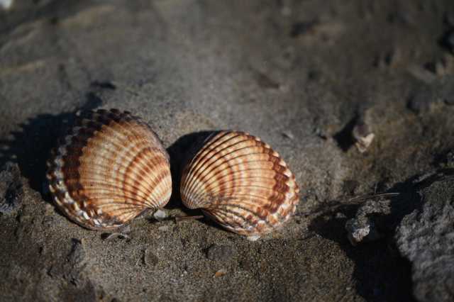 DSC_9108.JPG