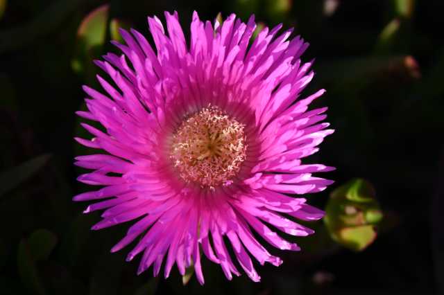 DSC_9118.JPG