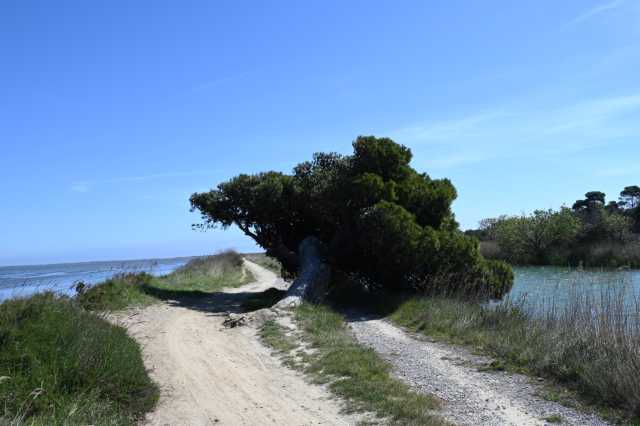 DSC_9137.JPG
