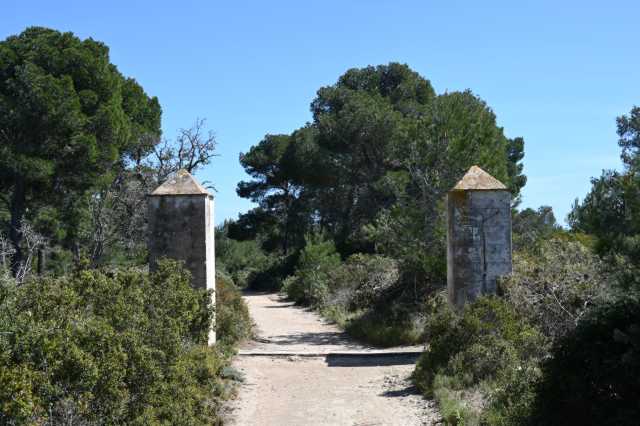 DSC_9167.JPG