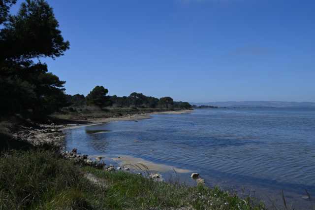 DSC_9174.JPG