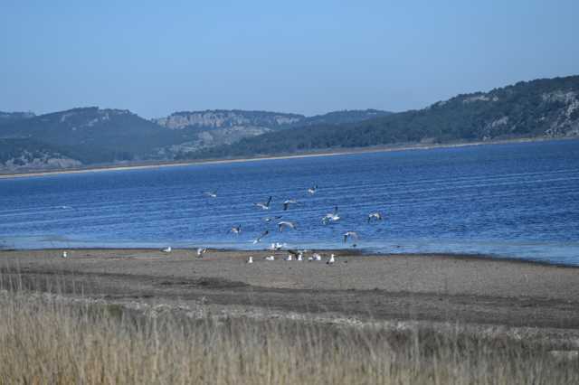 DSC_9177.JPG