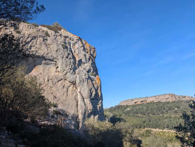PXL_20260404_145834848.jpg