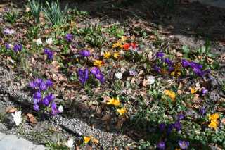 DSC_8726.JPG
