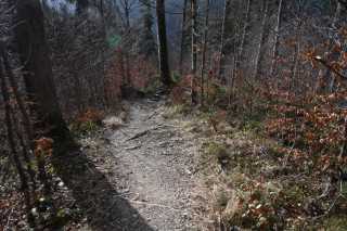 DSC_8850.JPG